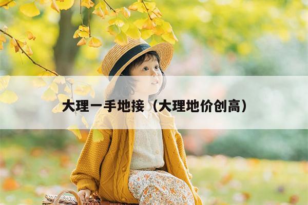 大理一手地接（大理地价创高）