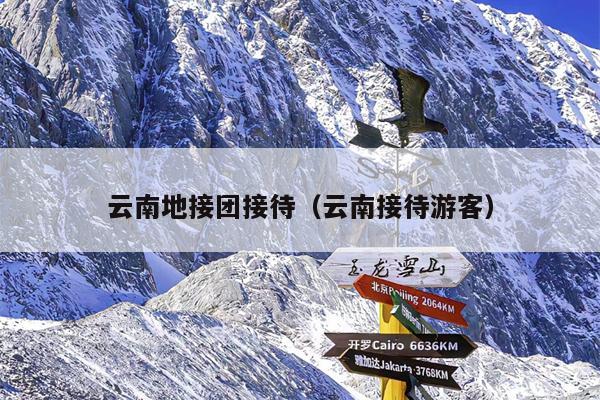 云南地接团接待（云南接待游客）
