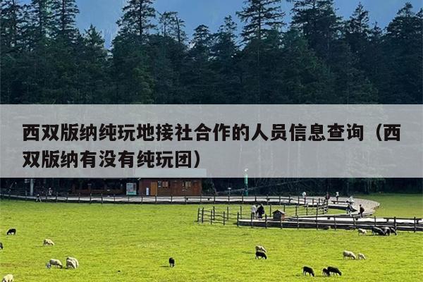 西双版纳纯玩地接社合作的人员信息查询（西双版纳有没有纯玩团）
