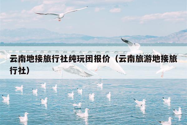 云南地接旅行社纯玩团报价（云南旅游地接旅行社）