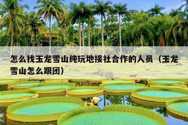 怎么找玉龙雪山纯玩地接社合作的人员（玉龙雪山怎么跟团）