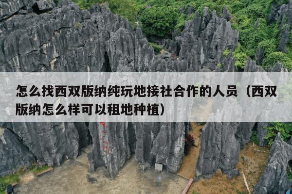 怎么找西双版纳纯玩地接社合作的人员（西双版纳怎么样可以租地种植）