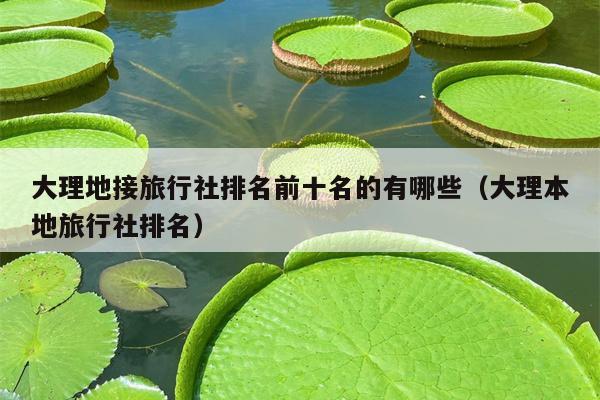 大理地接旅行社排名前十名的有哪些（大理本地旅行社排名）