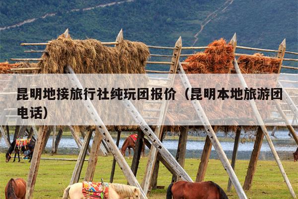 昆明地接旅行社纯玩团报价（昆明本地旅游团电话）