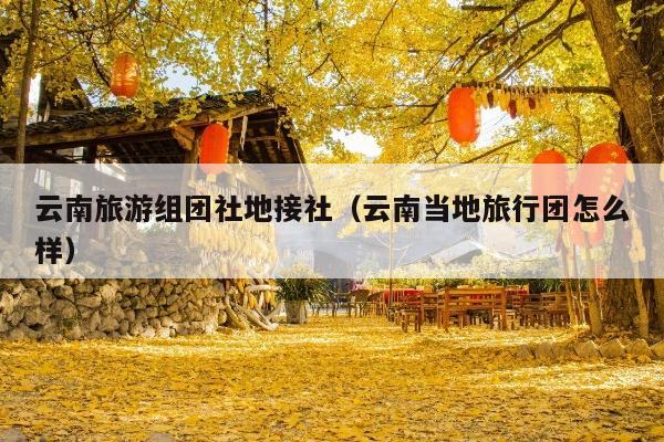 云南旅游组团社地接社（云南当地旅行团怎么样）