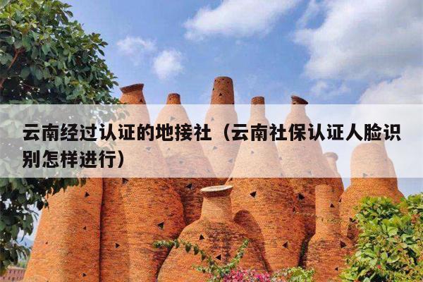 云南经过认证的地接社（云南社保认证人脸识别怎样进行）