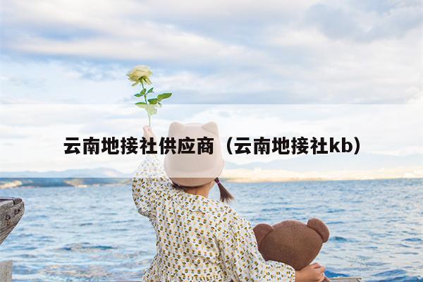 云南地接社供应商（云南地接社kb）