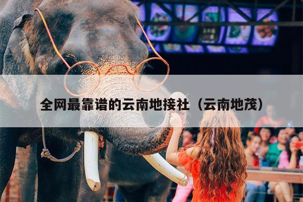 全网最靠谱的云南地接社（云南地茂）
