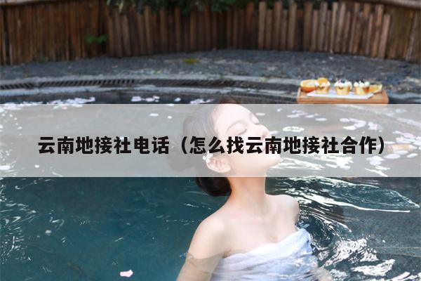 云南地接社电话（怎么找云南地接社合作）