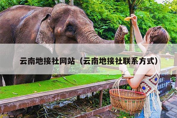 云南地接社网站（云南地接社联系方式）