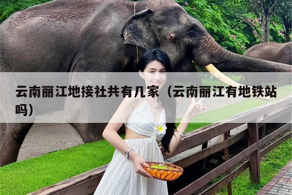 云南丽江地接社共有几家（云南丽江有地铁站吗）