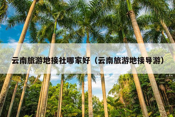 云南旅游地接社哪家好（云南旅游地接导游）