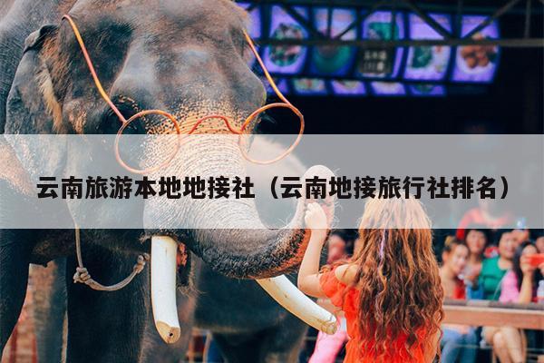 云南旅游本地地接社（云南地接旅行社排名）