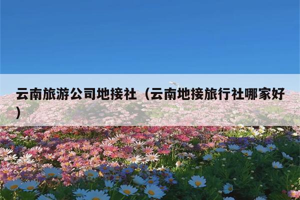 云南旅游公司地接社（云南地接旅行社哪家好）