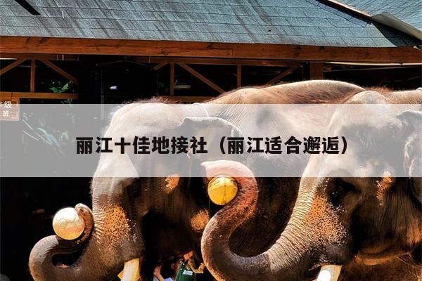 丽江十佳地接社（丽江适合邂逅）