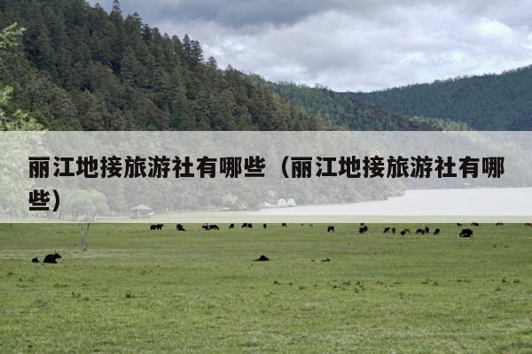 丽江地接旅游社有哪些（丽江地接旅游社有哪些）