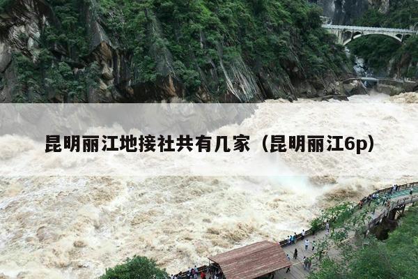 昆明丽江地接社共有几家（昆明丽江6p）
