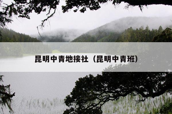 昆明中青地接社（昆明中青班）