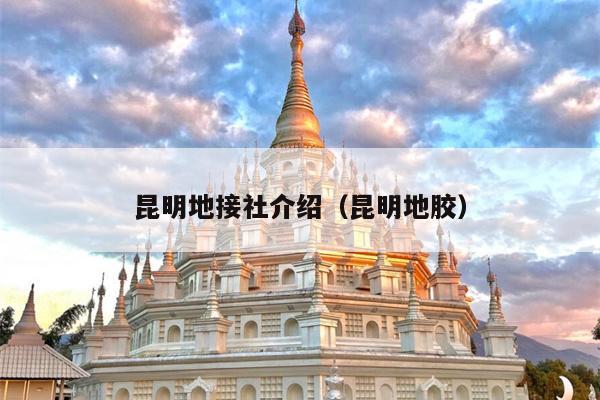 昆明地接社介绍（昆明地胶）