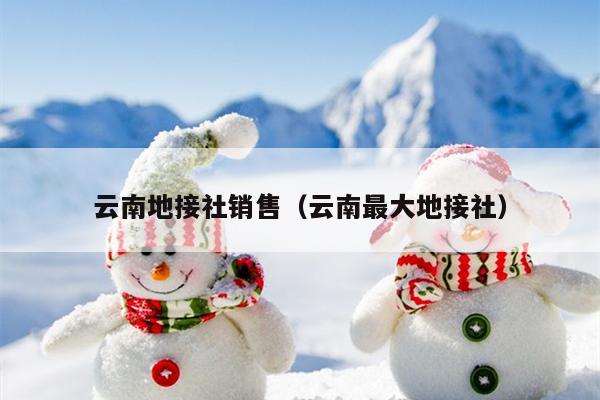 云南地接社销售（云南最大地接社）