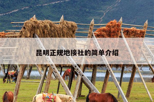 昆明正规地接社的简单介绍