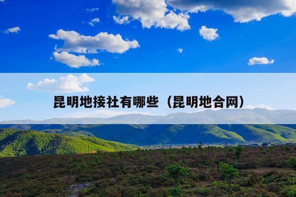 昆明地接社有哪些（昆明地合网）