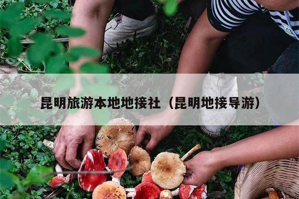 昆明旅游本地地接社（昆明地接导游）
