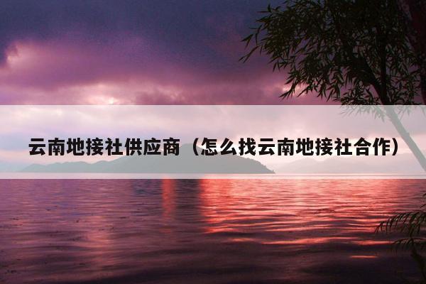 云南地接社供应商（怎么找云南地接社合作）