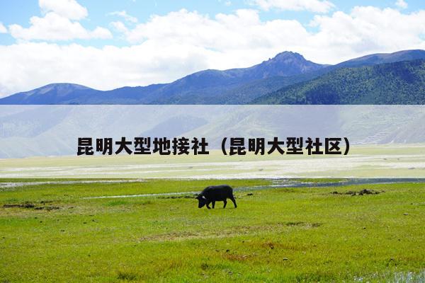 昆明大型地接社（昆明大型社区）