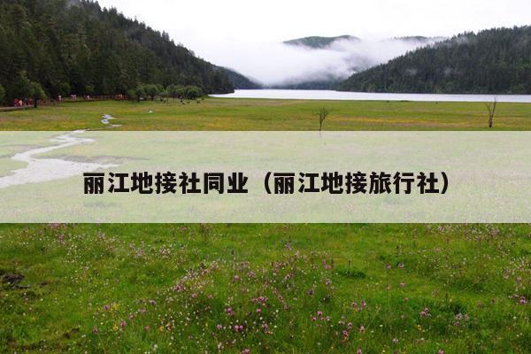 丽江地接社同业（丽江地接旅行社）