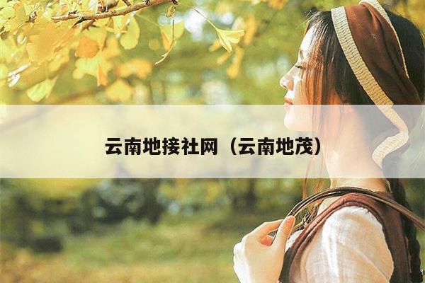 云南地接社网（云南地茂）