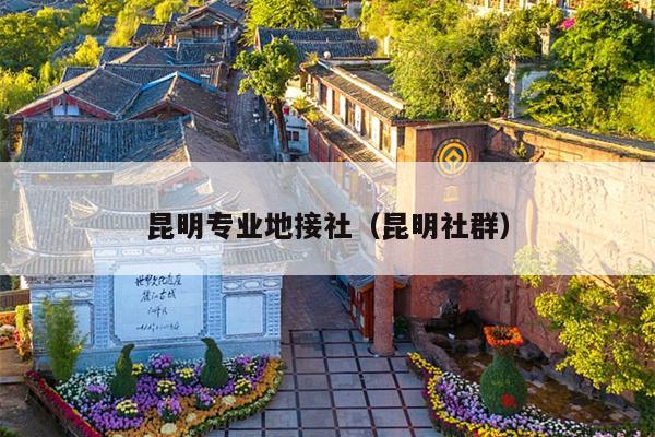 昆明专业地接社（昆明社群）