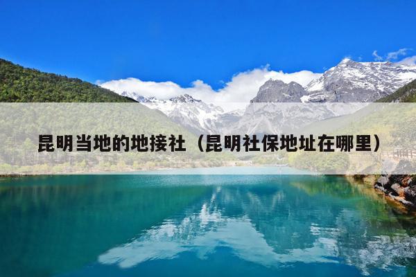 昆明当地的地接社（昆明社保地址在哪里）