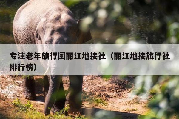 专注老年旅行团丽江地接社（丽江地接旅行社排行榜）