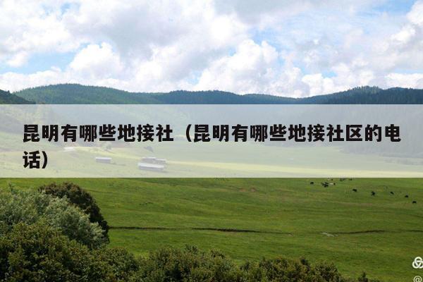 昆明有哪些地接社（昆明有哪些地接社区的电话）