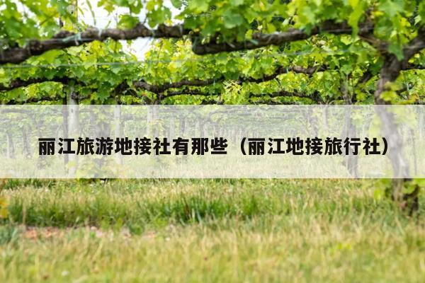 丽江旅游地接社有那些（丽江地接旅行社）