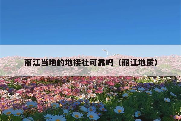 丽江当地的地接社可靠吗（丽江地质）