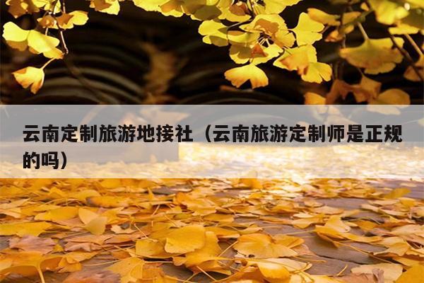 云南定制旅游地接社（云南旅游定制师是正规的吗）