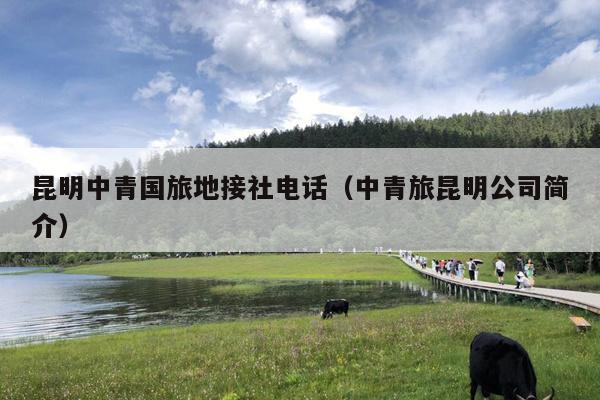 昆明中青国旅地接社电话（中青旅昆明公司简介）