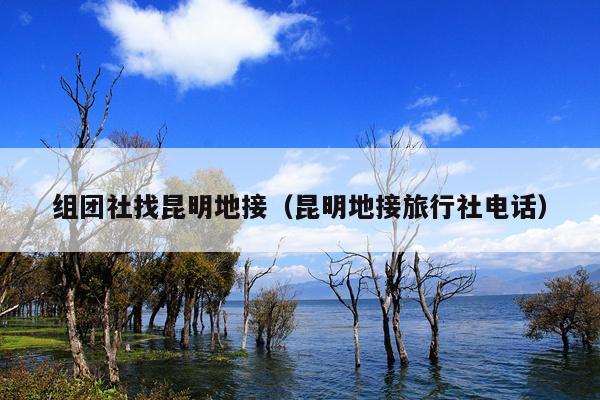 组团社找昆明地接（昆明地接旅行社电话）