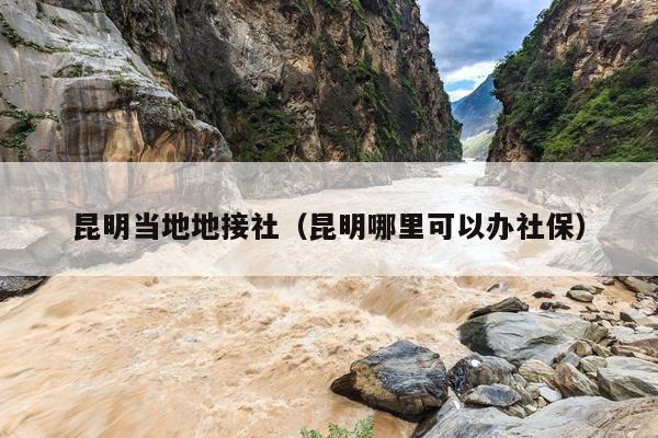 昆明当地地接社（昆明哪里可以办社保）