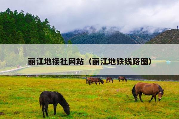 丽江地接社网站（丽江地铁线路图）