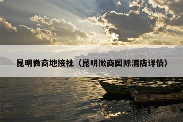 昆明微商地接社（昆明微商国际酒店详情）