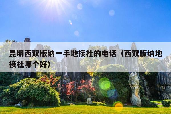 昆明西双版纳一手地接社的电话（西双版纳地接社哪个好）