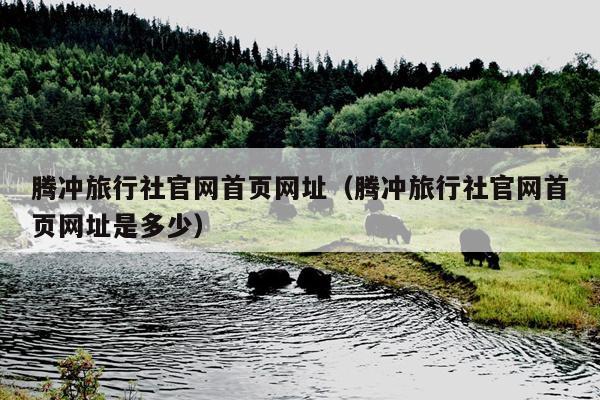 腾冲旅行社官网首页网址（腾冲旅行社官网首页网址是多少）