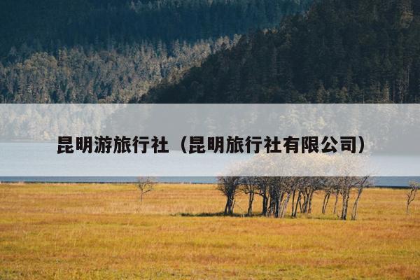 昆明游旅行社（昆明旅行社有限公司）