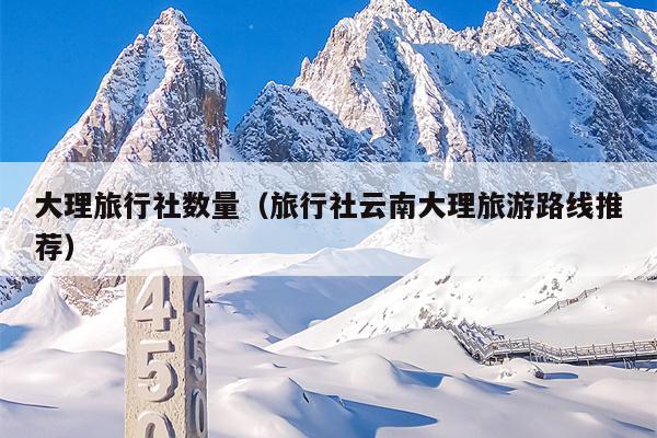 大理旅行社数量（旅行社云南大理旅游路线推荐）