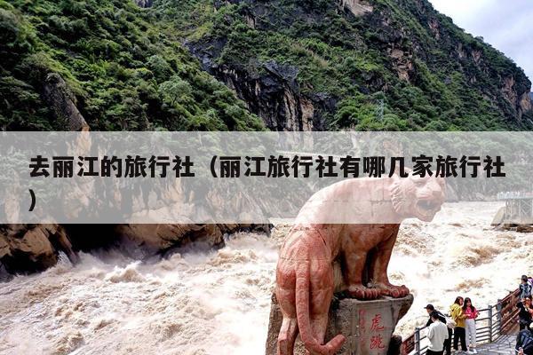 去丽江的旅行社（丽江旅行社有哪几家旅行社）