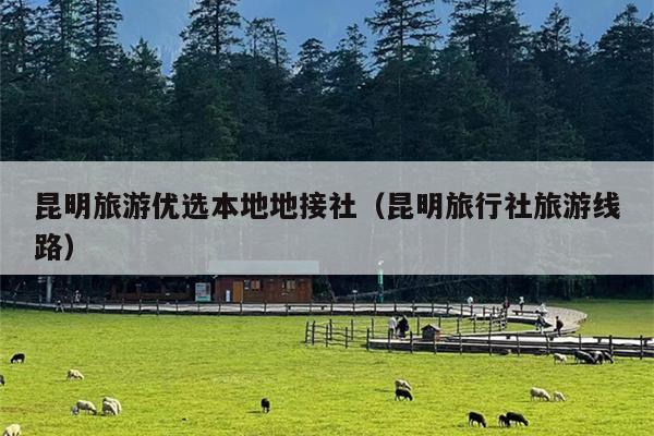 昆明旅游优选本地地接社（昆明旅行社旅游线路）
