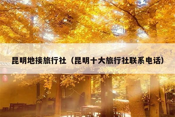 昆明地接旅行社（昆明十大旅行社联系电话）